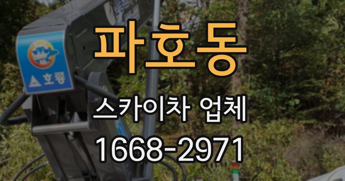 파호동 스카이차 업체