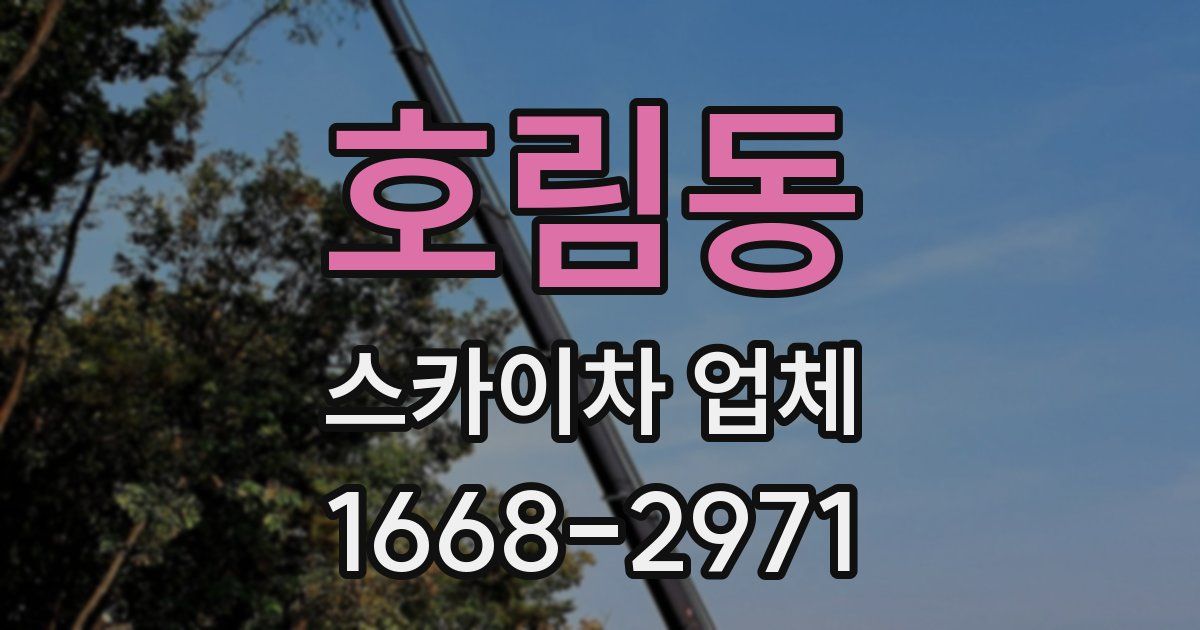 호림동 스카이차 업체
