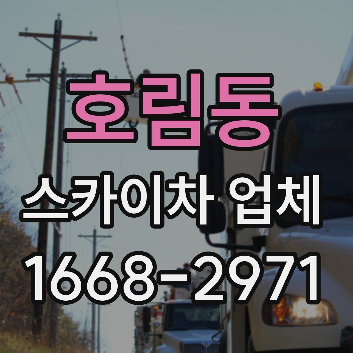 호림동 스카이차 업체