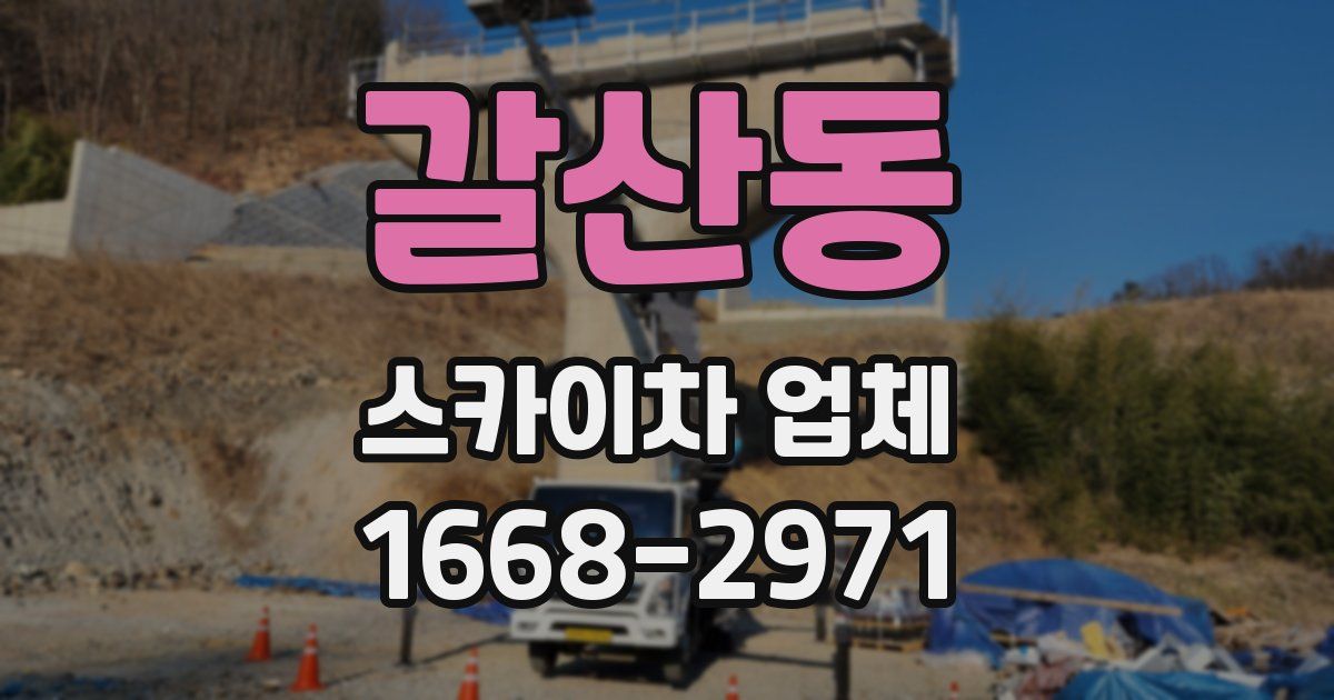 갈산동 스카이차 업체