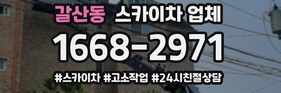 갈산동 스카이차 업체