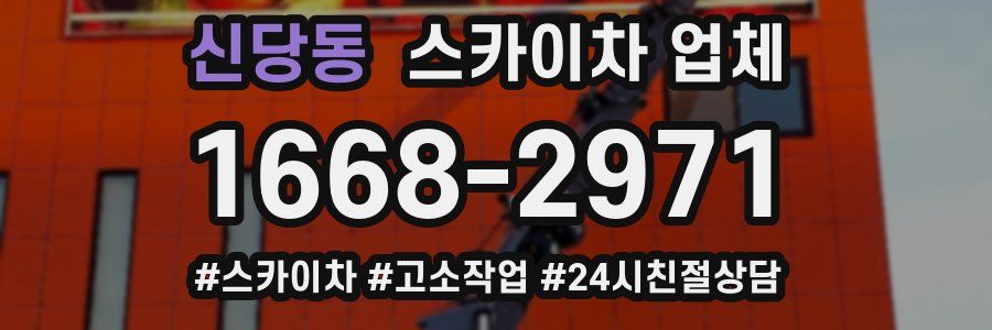 신당동 스카이차 업체