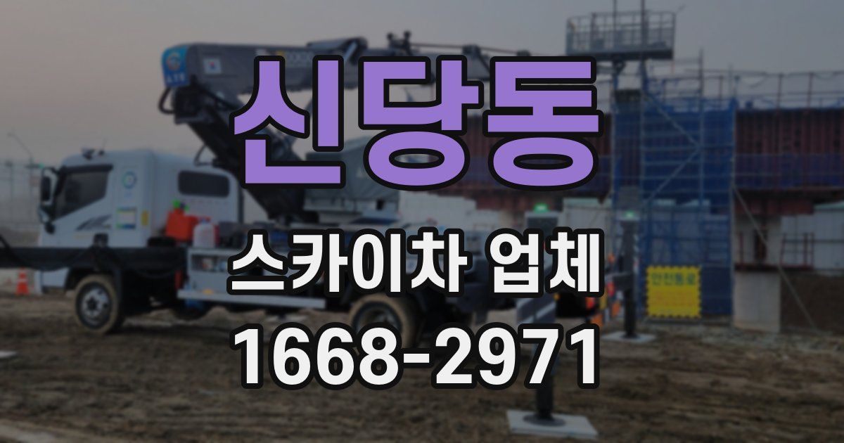 신당동 스카이차 업체