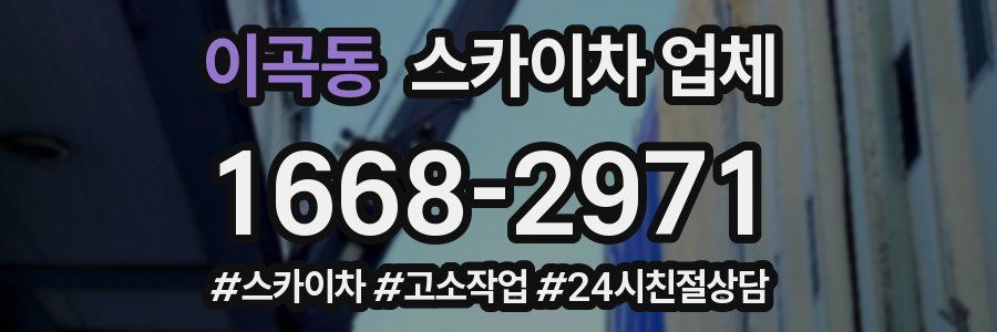 이곡동 스카이차 업체