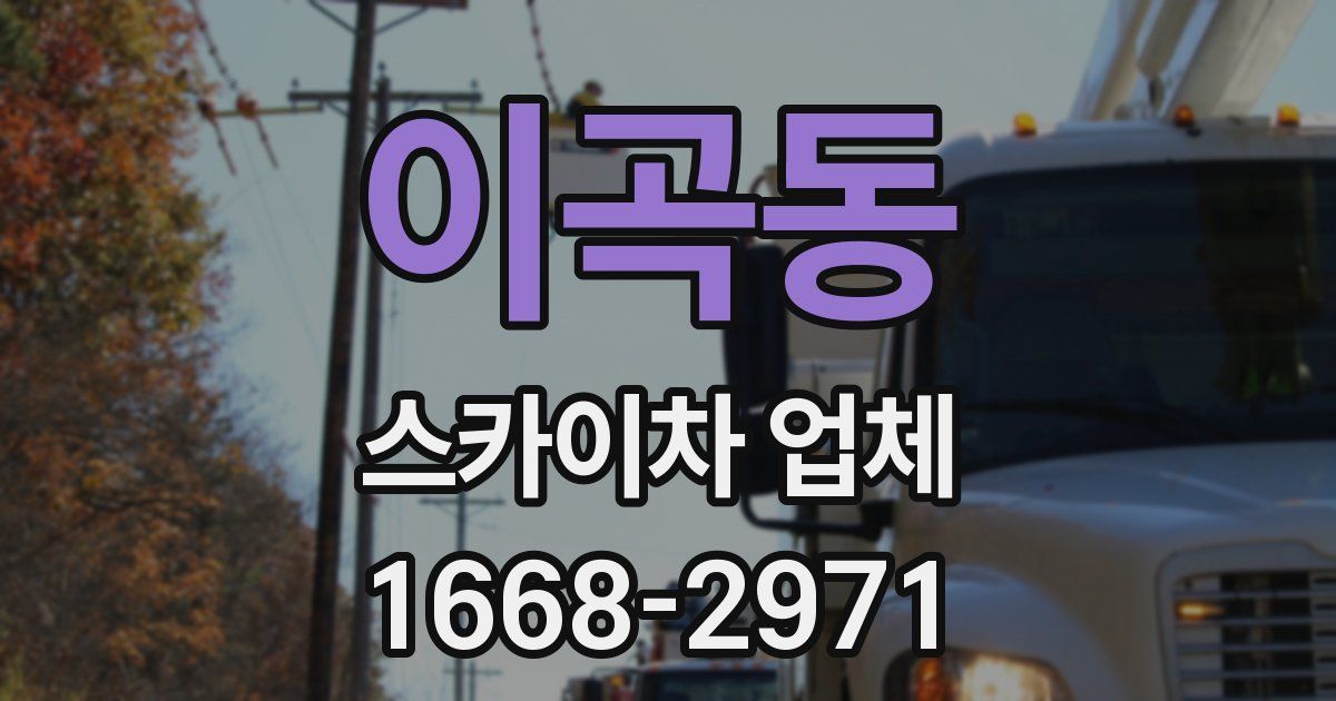 이곡동 스카이차 업체