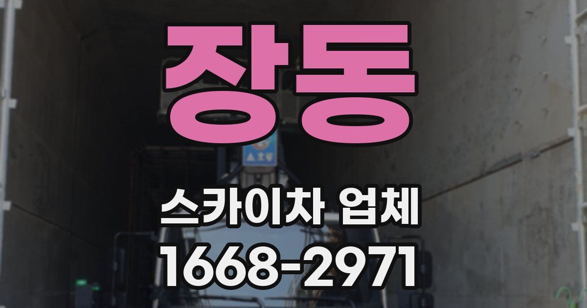 장동 스카이차 업체