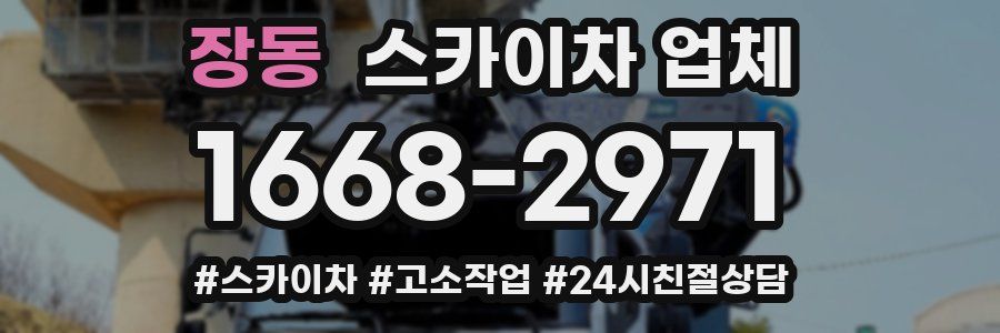 장동 스카이차 업체