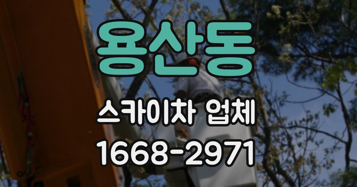 용산동 스카이차 업체