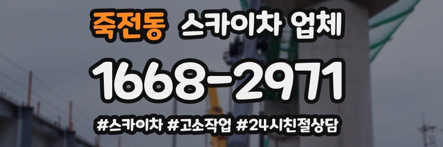 죽전동 스카이차 업체