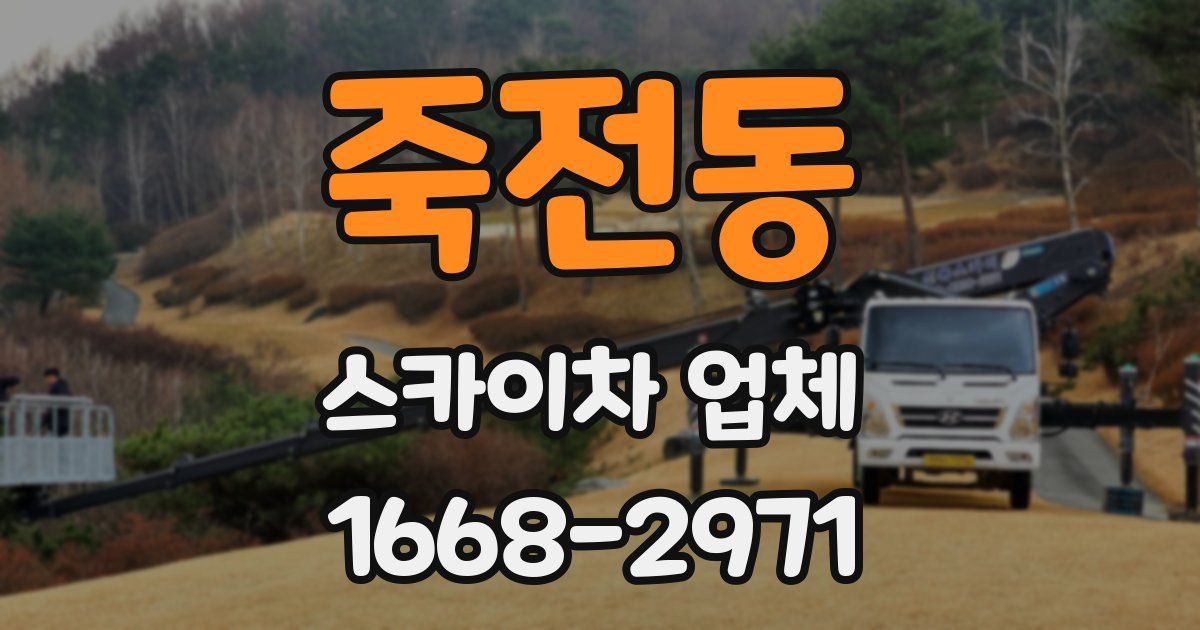 죽전동 스카이차 업체