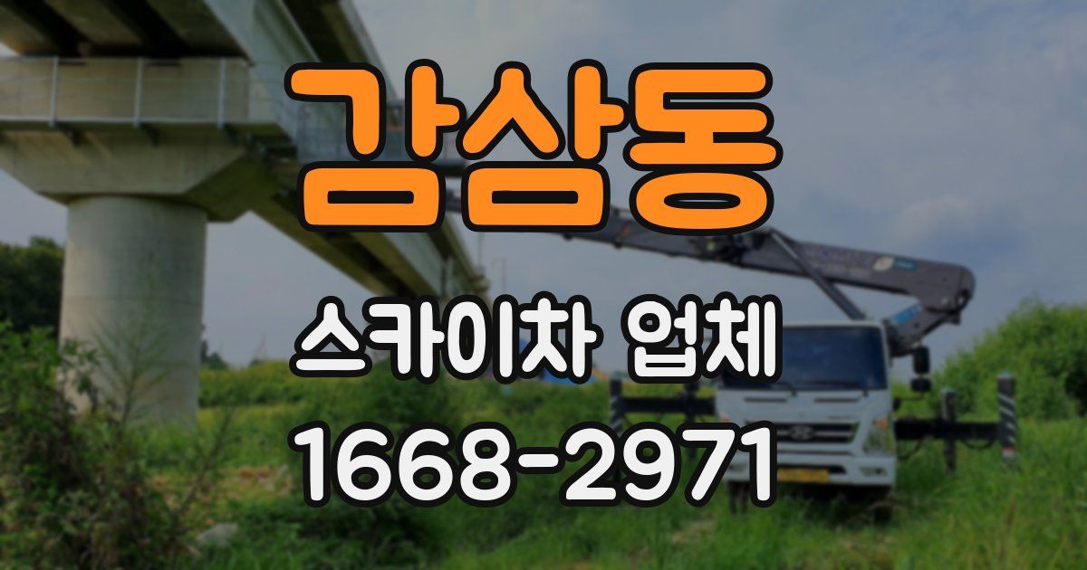 감삼동 스카이차 업체