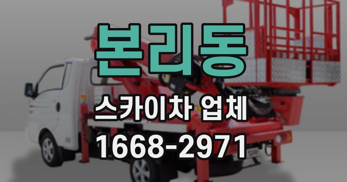 본리동 스카이차 업체