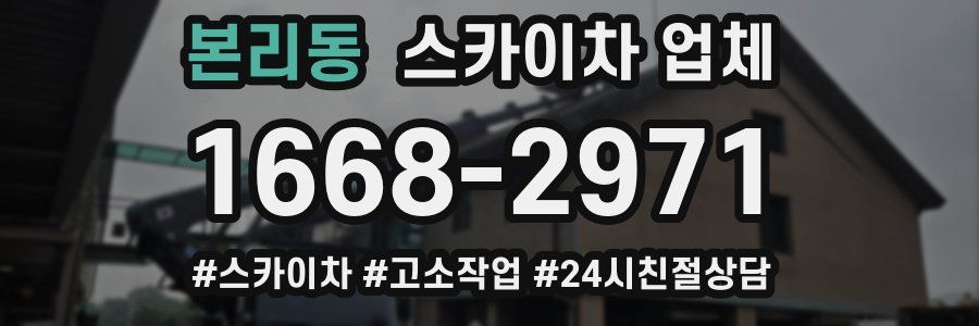 본리동 스카이차 업체