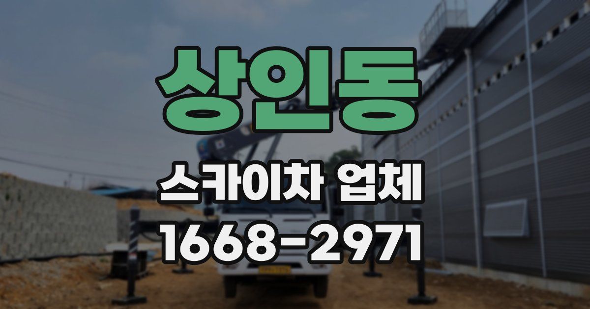 상인동 스카이차 업체