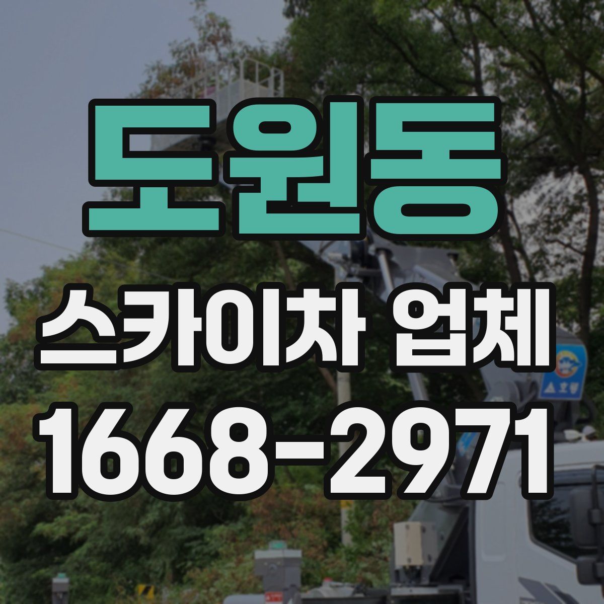 도원동 스카이차 업체
