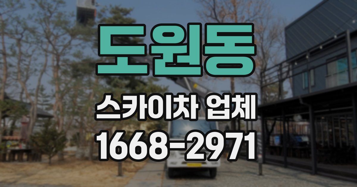 도원동 스카이차 업체
