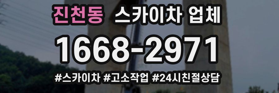 진천동 스카이차 업체