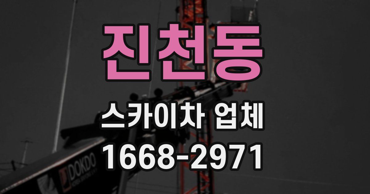 진천동 스카이차 업체