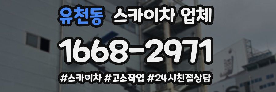 유천동 스카이차 업체