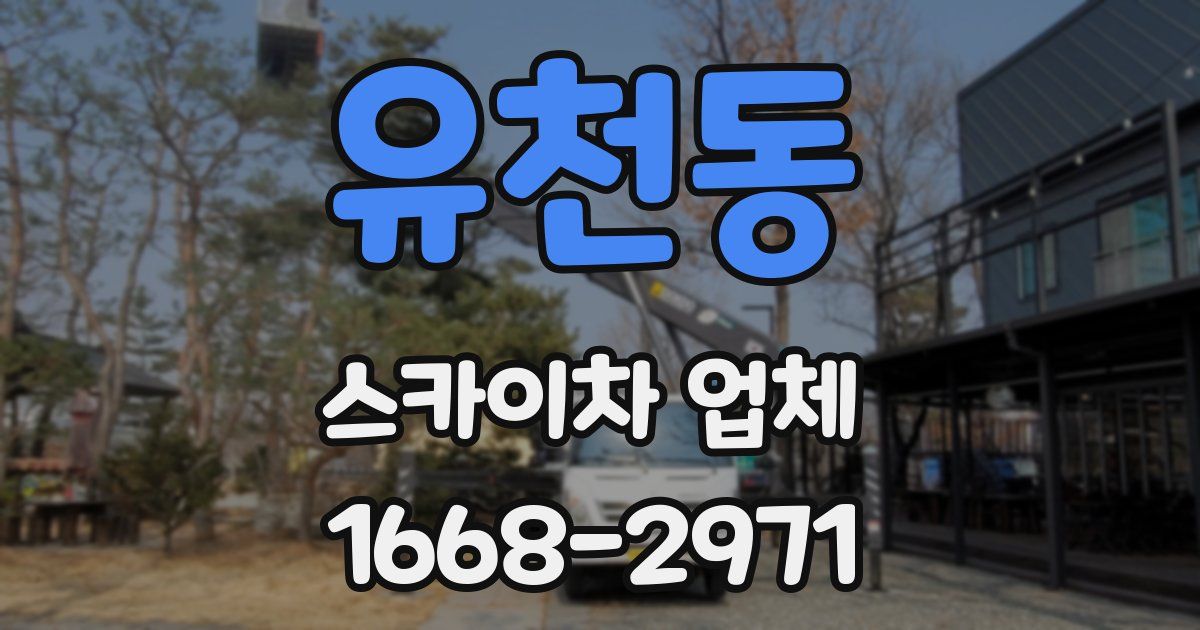 유천동 스카이차 업체