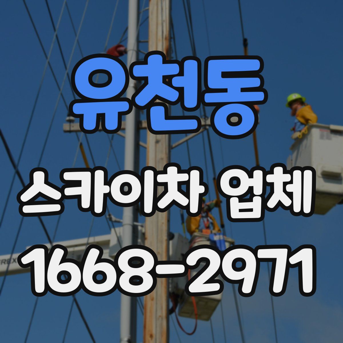 유천동 스카이차 업체