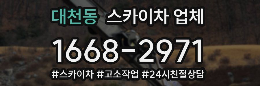 대천동 스카이차 업체