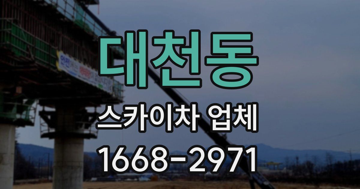 대천동 스카이차 업체