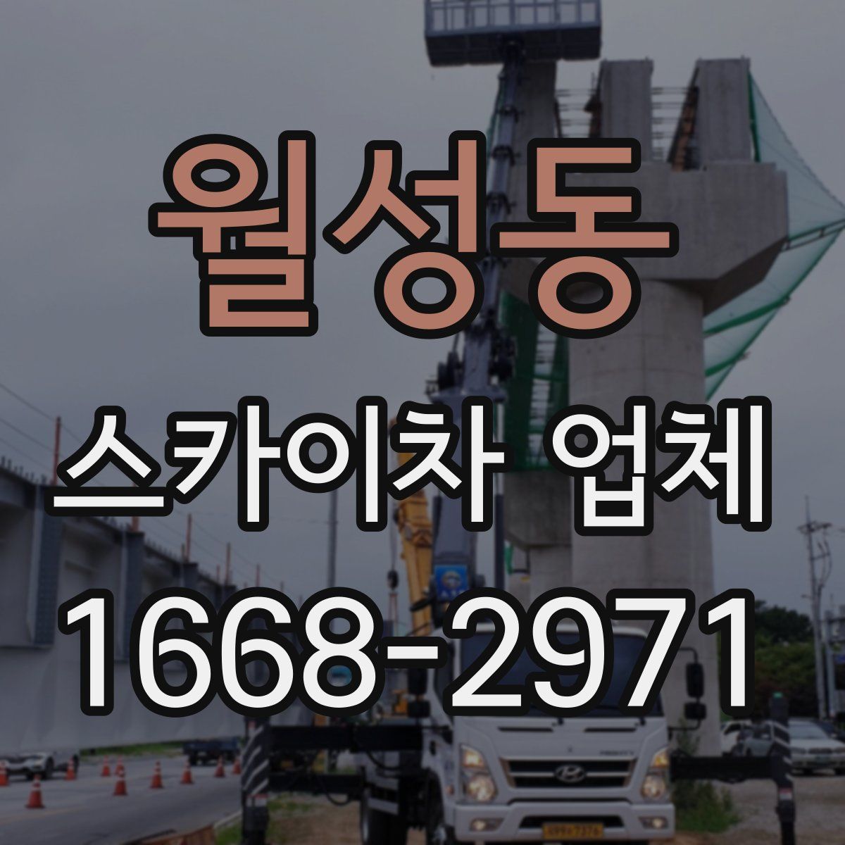 월성동 스카이차 업체