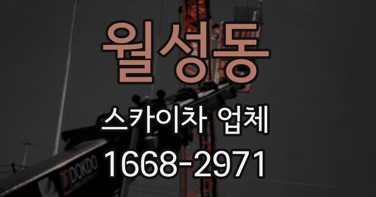 월성동 스카이차 업체