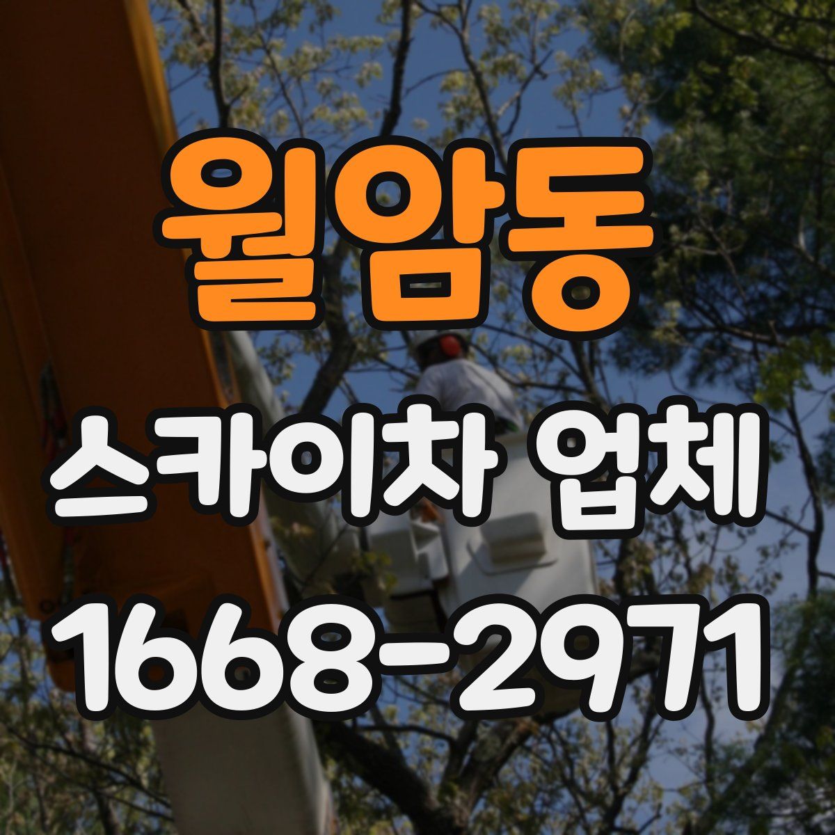 월암동 스카이차 업체