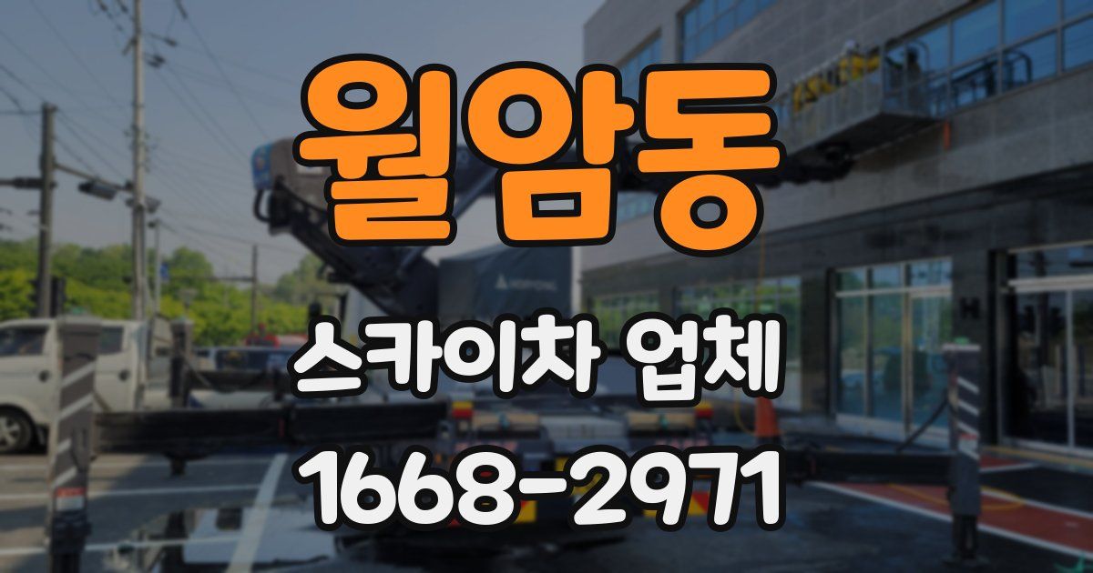 월암동 스카이차 업체