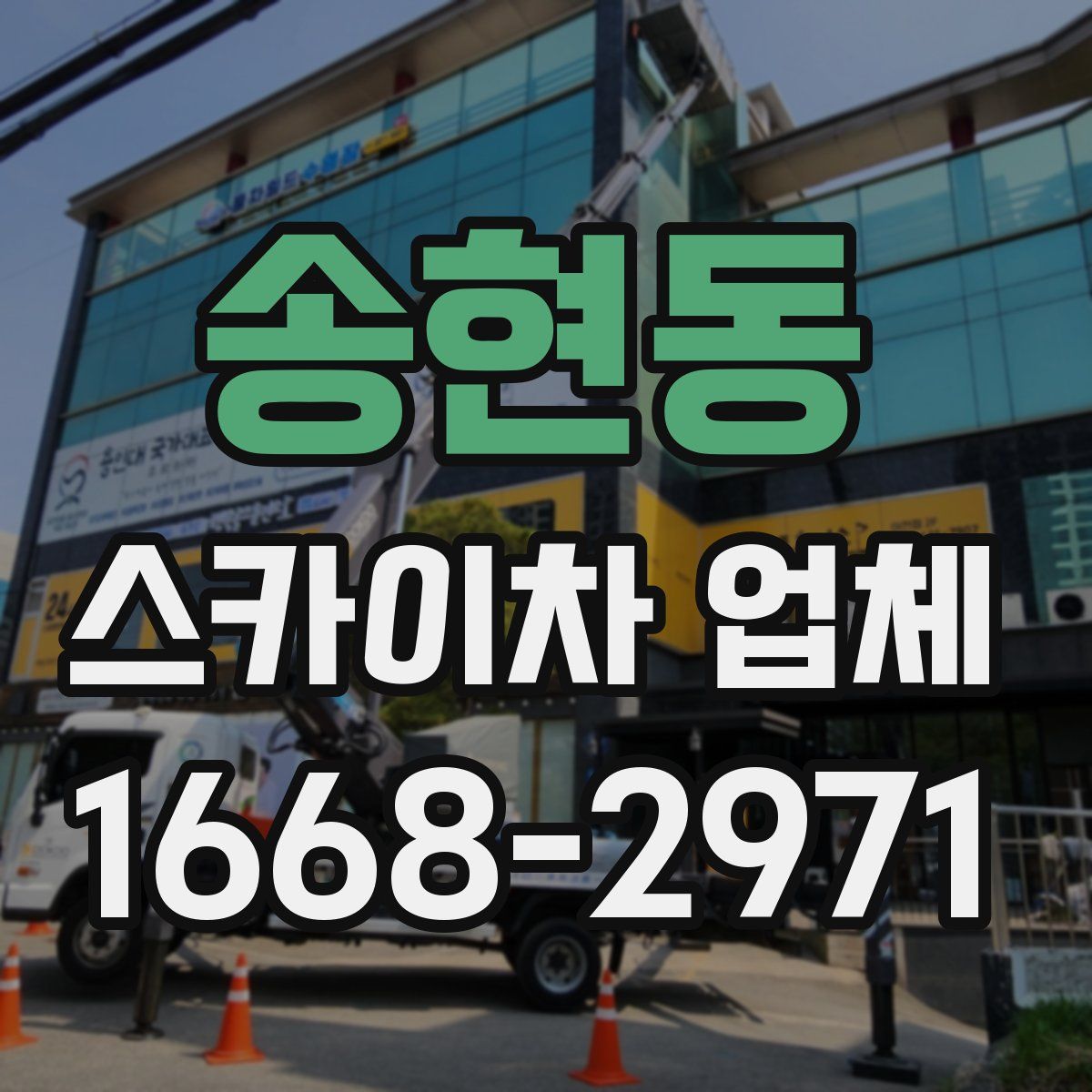 송현동 스카이차 업체