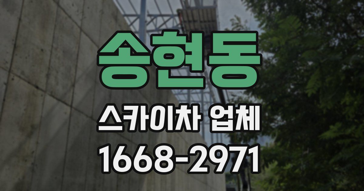송현동 스카이차 업체