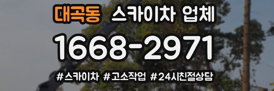 대곡동 스카이차 업체