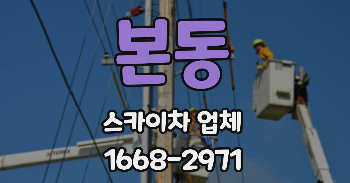 본동 스카이차 업체