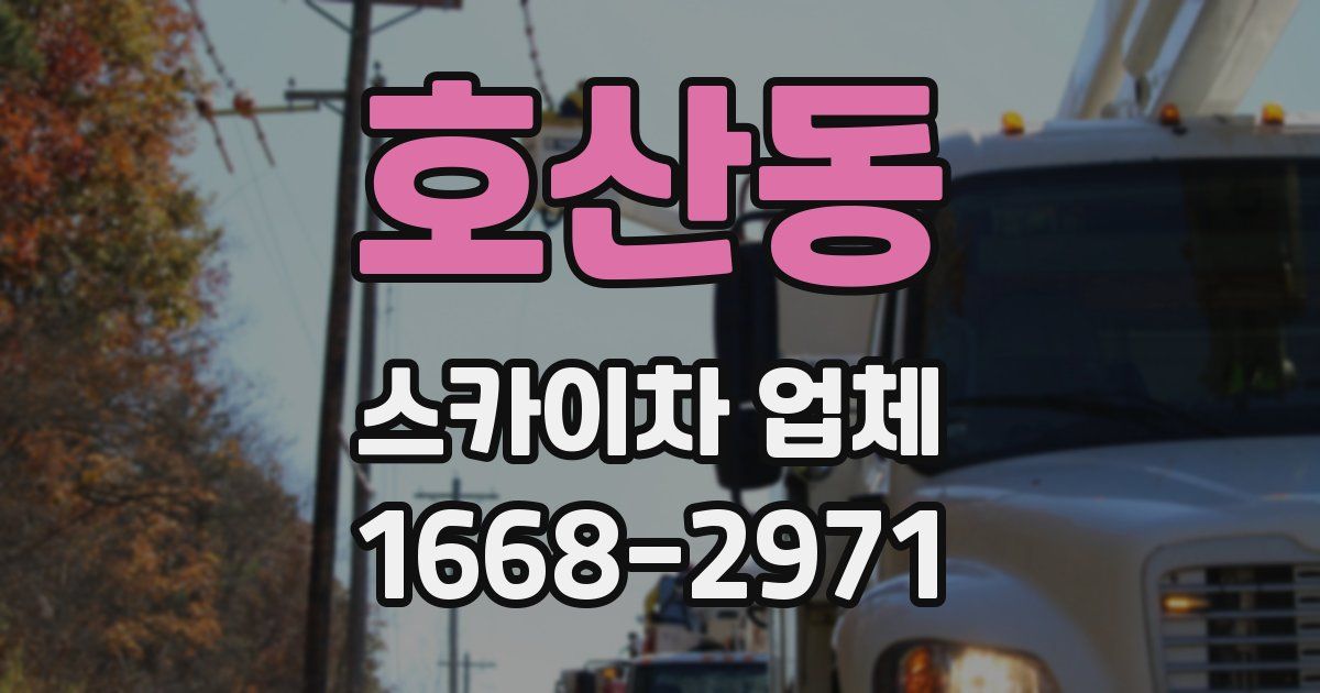호산동 스카이차 업체