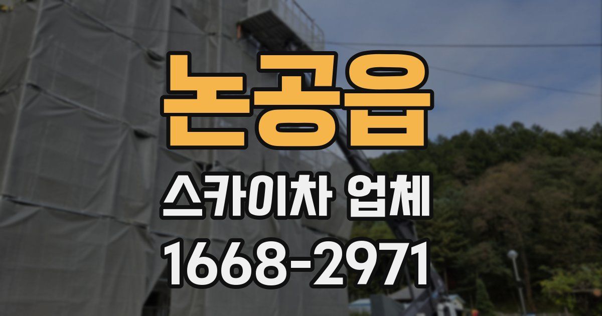 논공읍 스카이차 업체