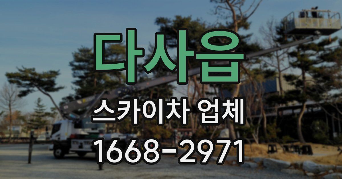 다사읍 스카이차 업체