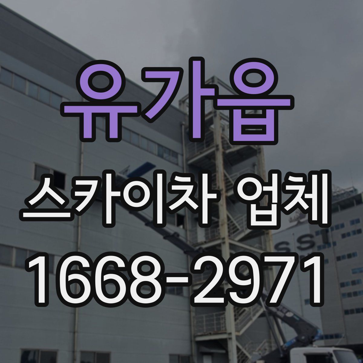 유가읍 스카이차 업체