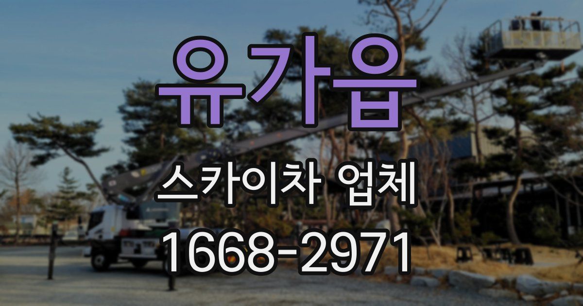유가읍 스카이차 업체