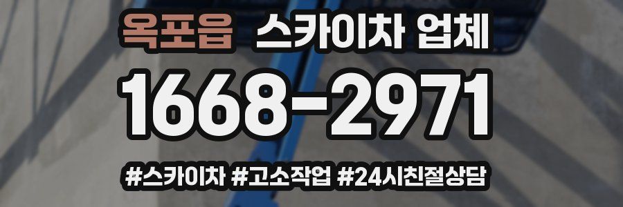 옥포읍 스카이차 업체