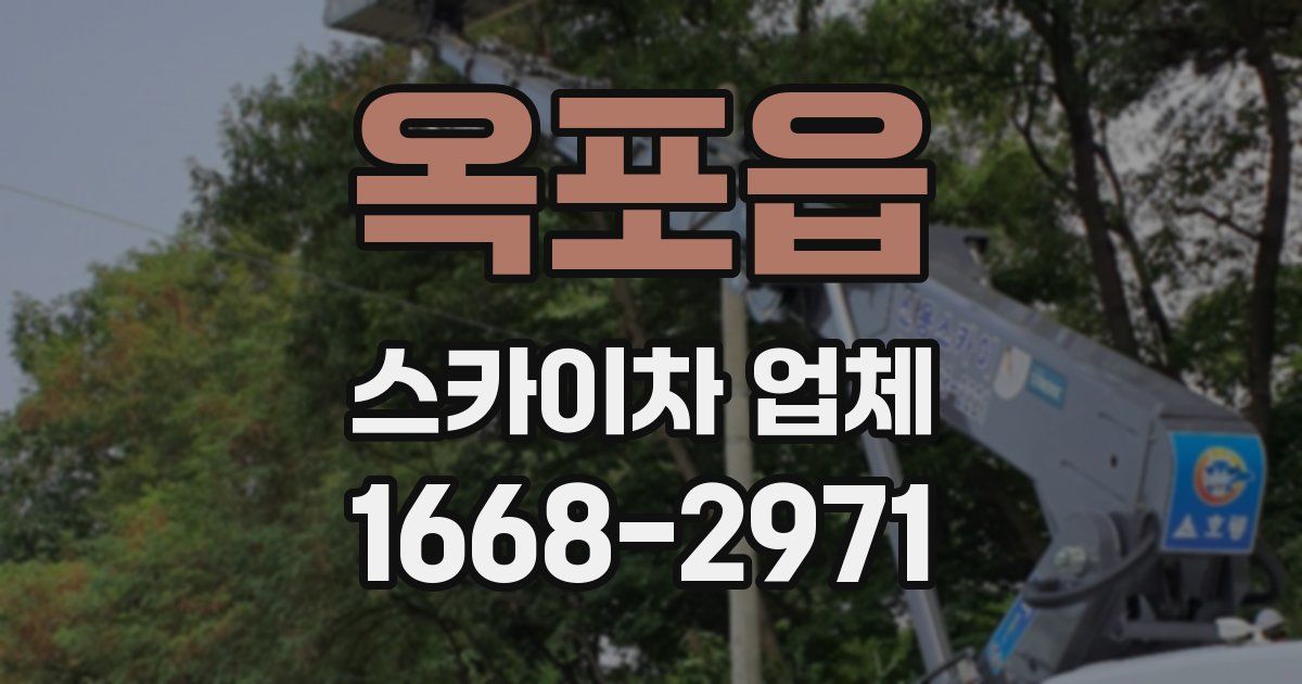 옥포읍 스카이차 업체