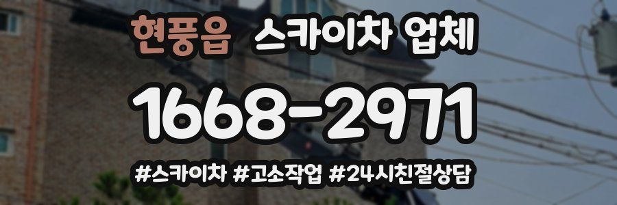 현풍읍 스카이차 업체