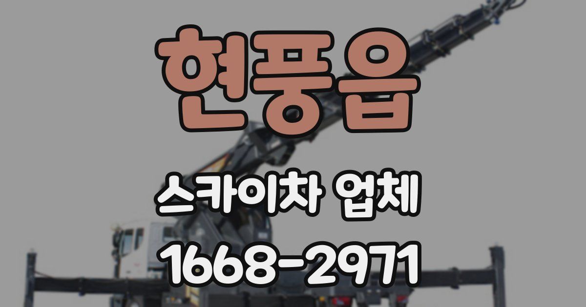 현풍읍 스카이차 업체