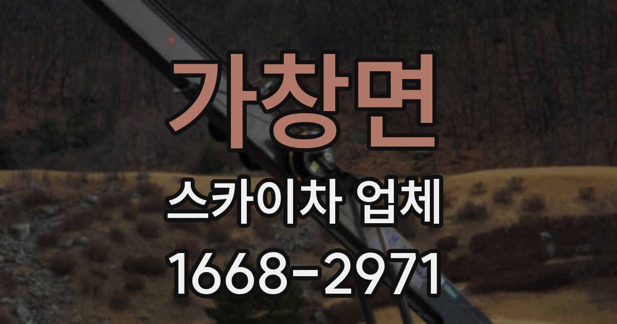 가창면 스카이차 업체
