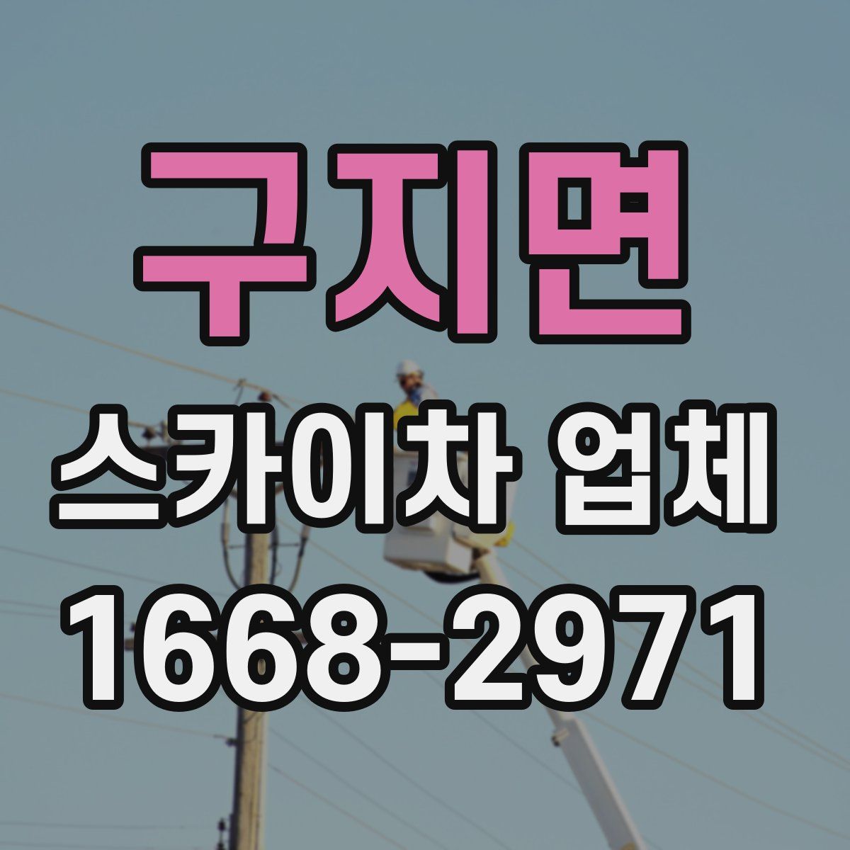 구지면 스카이차 업체