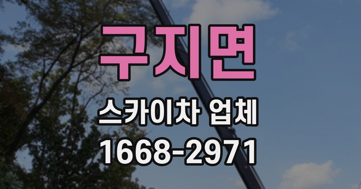 구지면 스카이차 업체
