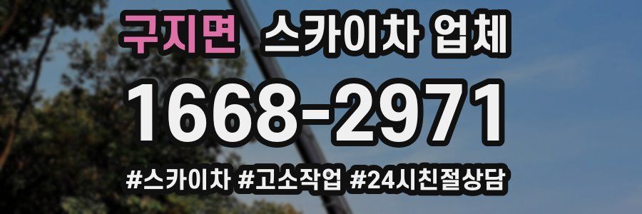 구지면 스카이차 업체