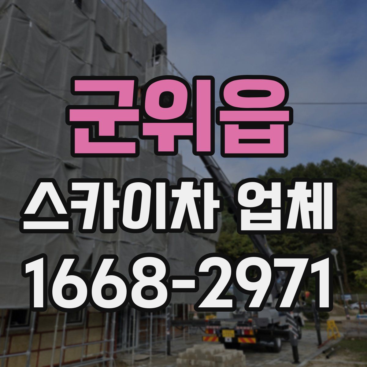 군위읍 스카이차 업체