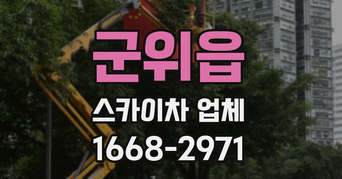 군위읍 스카이차 업체